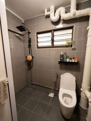 Blk 250 Choa Chu Kang Avenue 2 (Choa Chu Kang), HDB 4 Rooms #634166821
